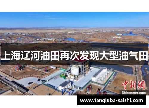 上海辽河油田再次发现大型油气田